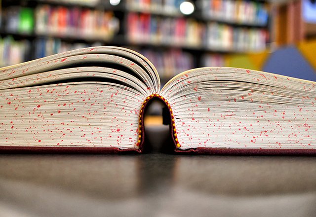 Sekolah untuk Para Novelis